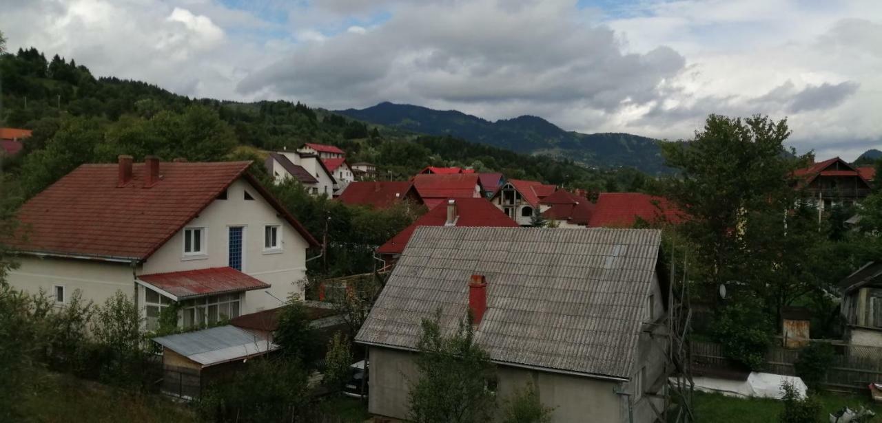 Traditia Borsanului Buitenkant foto