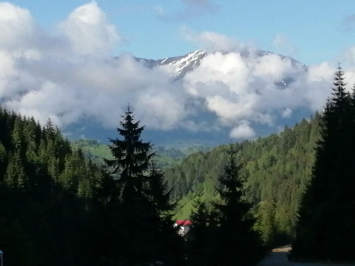 Traditia Borsanului Buitenkant foto